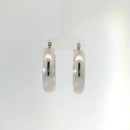 Earrings hoops