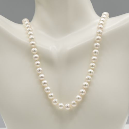 High Luster Akoya Pearl Necklace