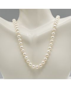 High Luster Akoya Pearl Necklace